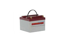 Concorde RG24-10 General Aviation Aircraft Battery