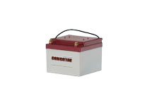 Concorde RG24-11 General Aviation Aircraft Battery